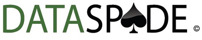 DataSpade logo